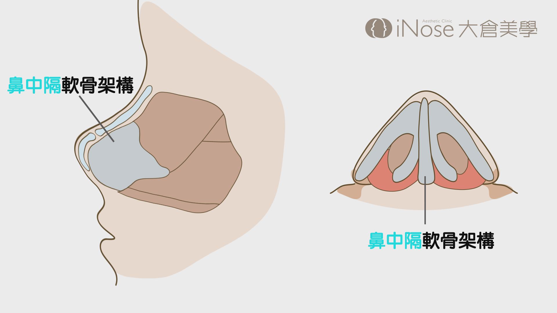 精緻鼻中隔彎曲矯正手術 大師美學