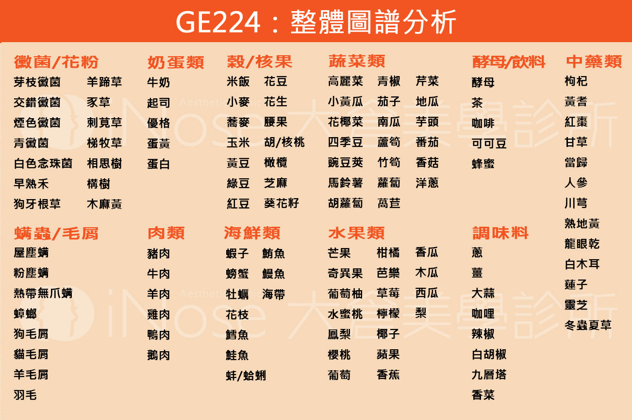 Ge224項急慢性過敏原檢測 大師美學