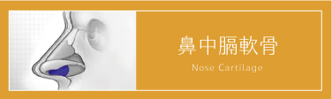 OSTEOPORE隆鼻材質官網 材質 鼻軟骨